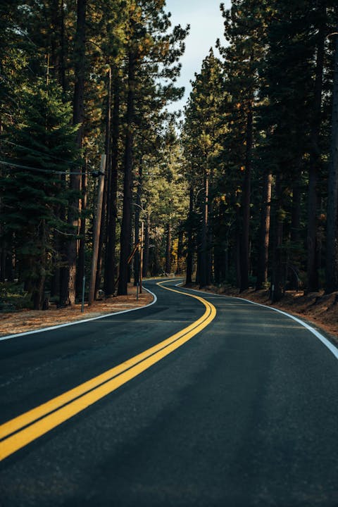 A winding road through a dense forest of tall trees under a partly cloudy sky.