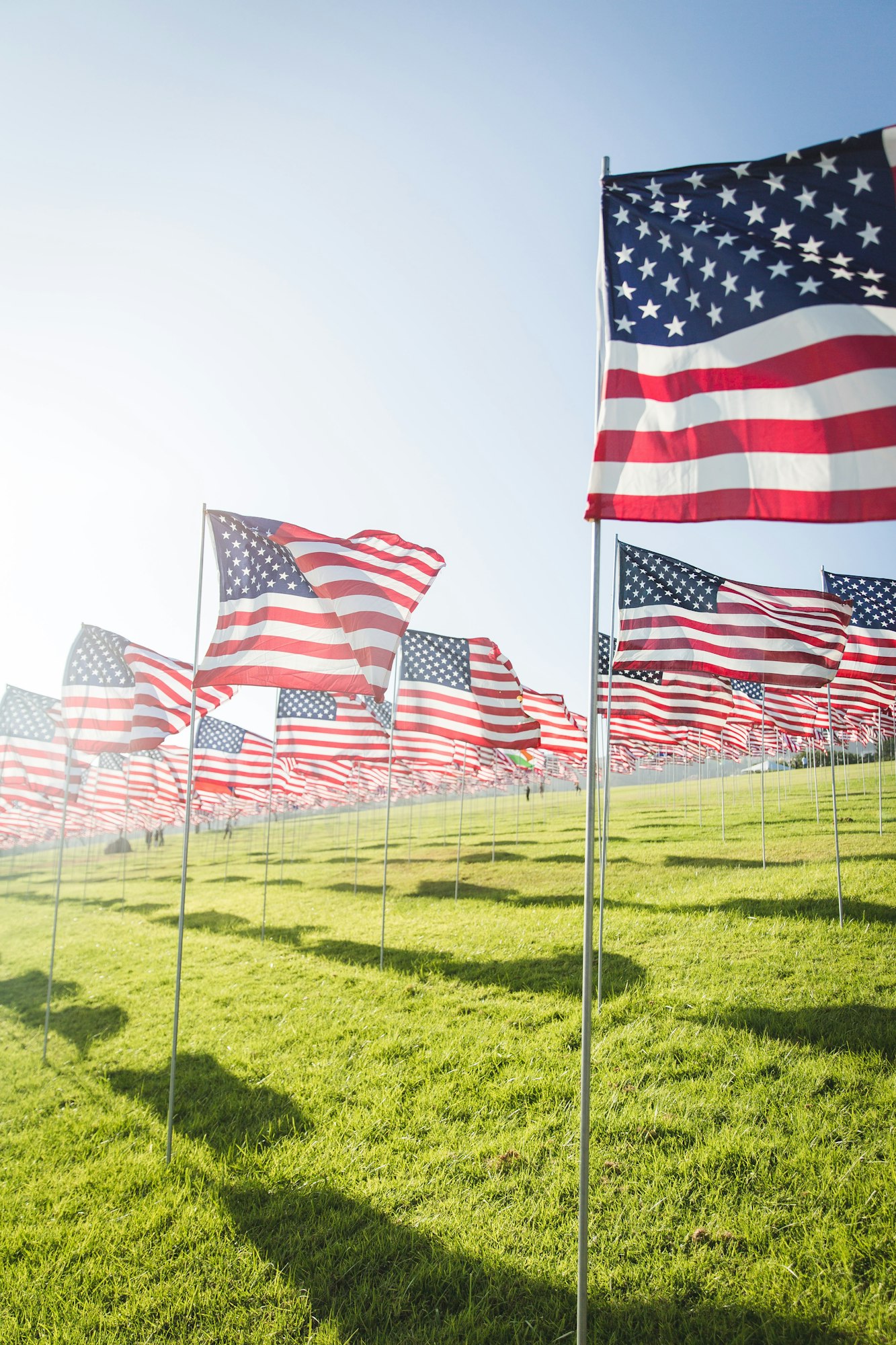 May contain: american flag, flag, grass, and plant