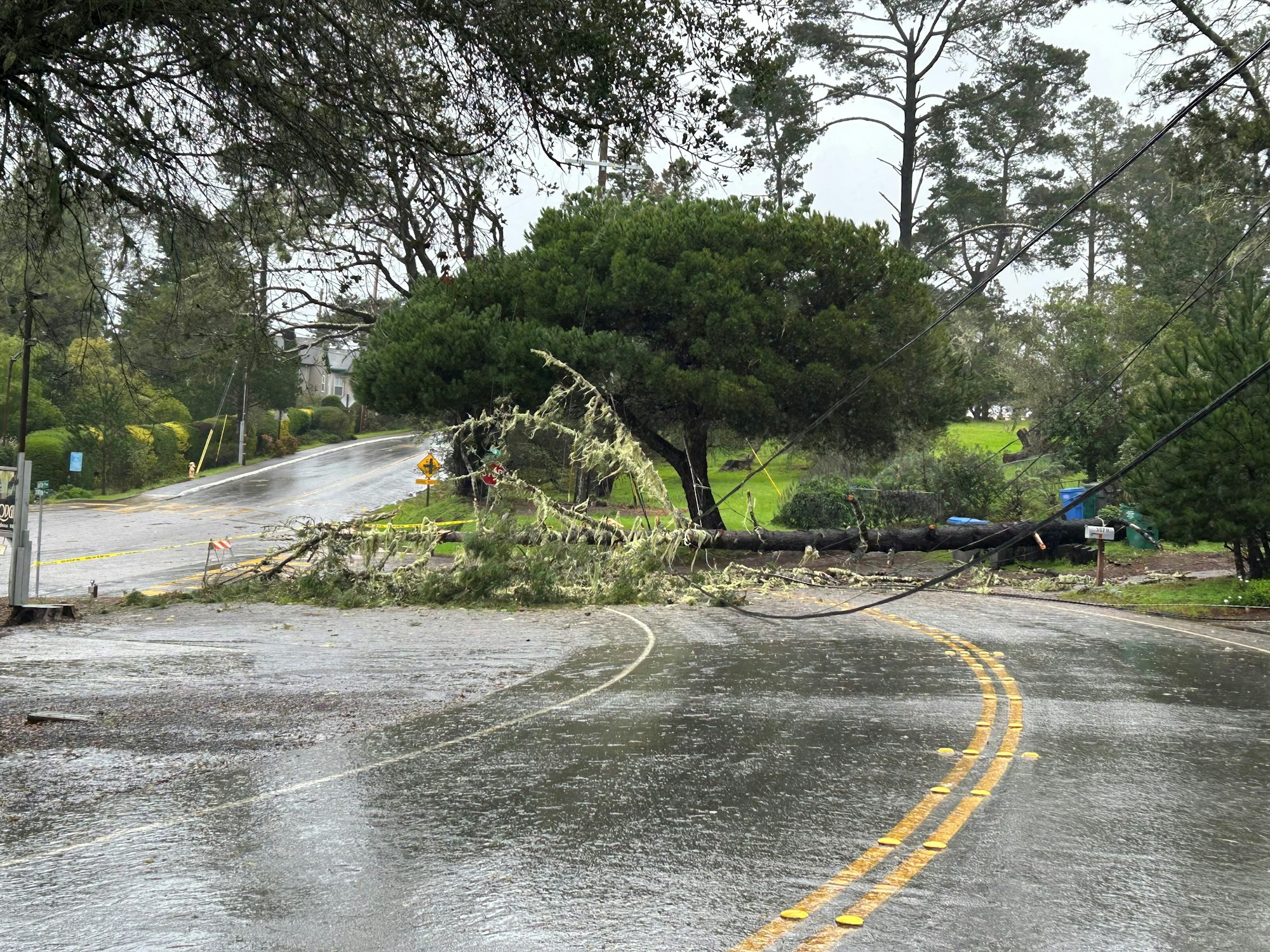 A fallen tree blocks a wet road, with downed power lines and visible caution tape.