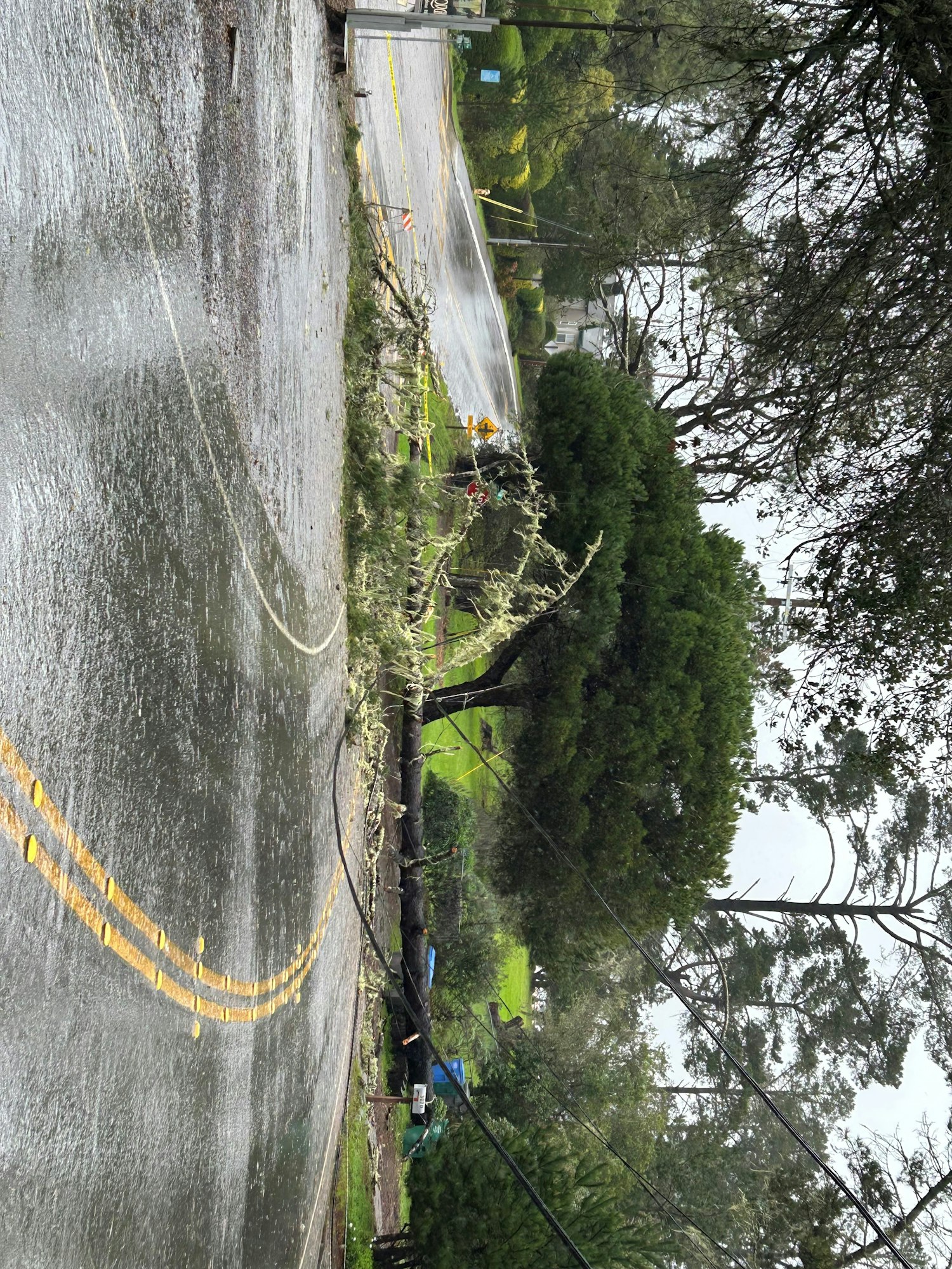A fallen tree blocks a wet road, with downed power lines and visible caution tape.