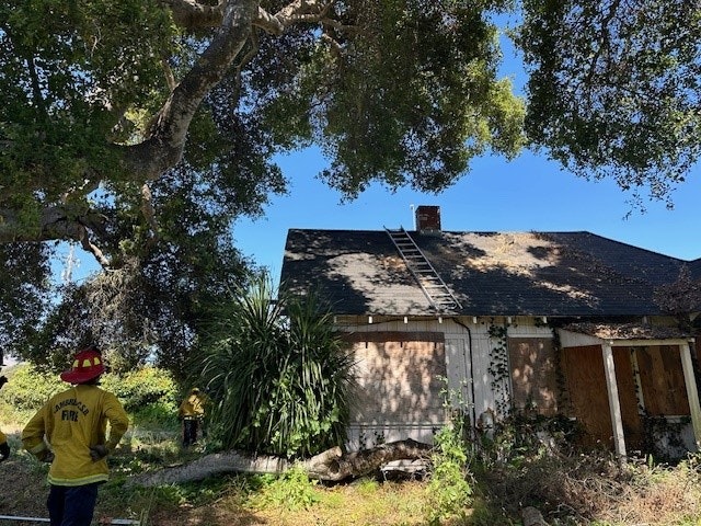 A firefighter is standing outside a dilapidated house with overgrown vegetation under a large tree.