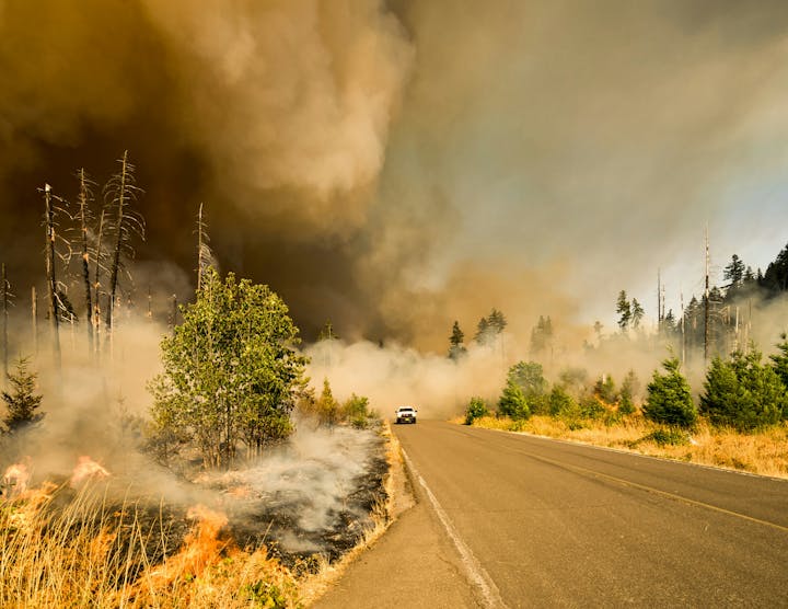 A road bordered by smoke and flames, with trees in the background, visualizing a wildfires' impact.