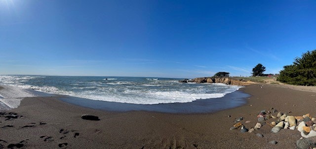 May contain: shoreline, water, sea, ocean, nature, outdoors, beach, coast, architecture, building, tower, bird, and animal