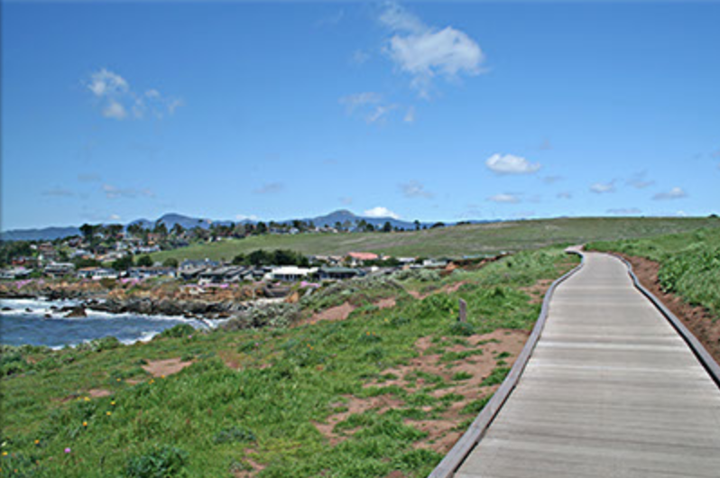 May contain: path, building, boardwalk, bridge, outdoors, plant, grass, nature, and trail