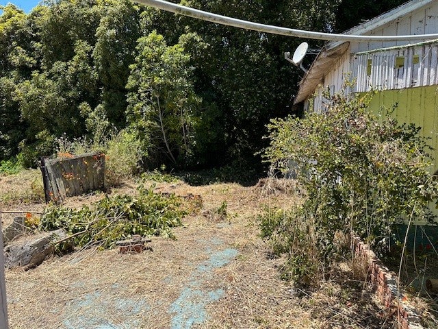 Overgrown backyard of a green house with bushes, trees, and a satellite dish.