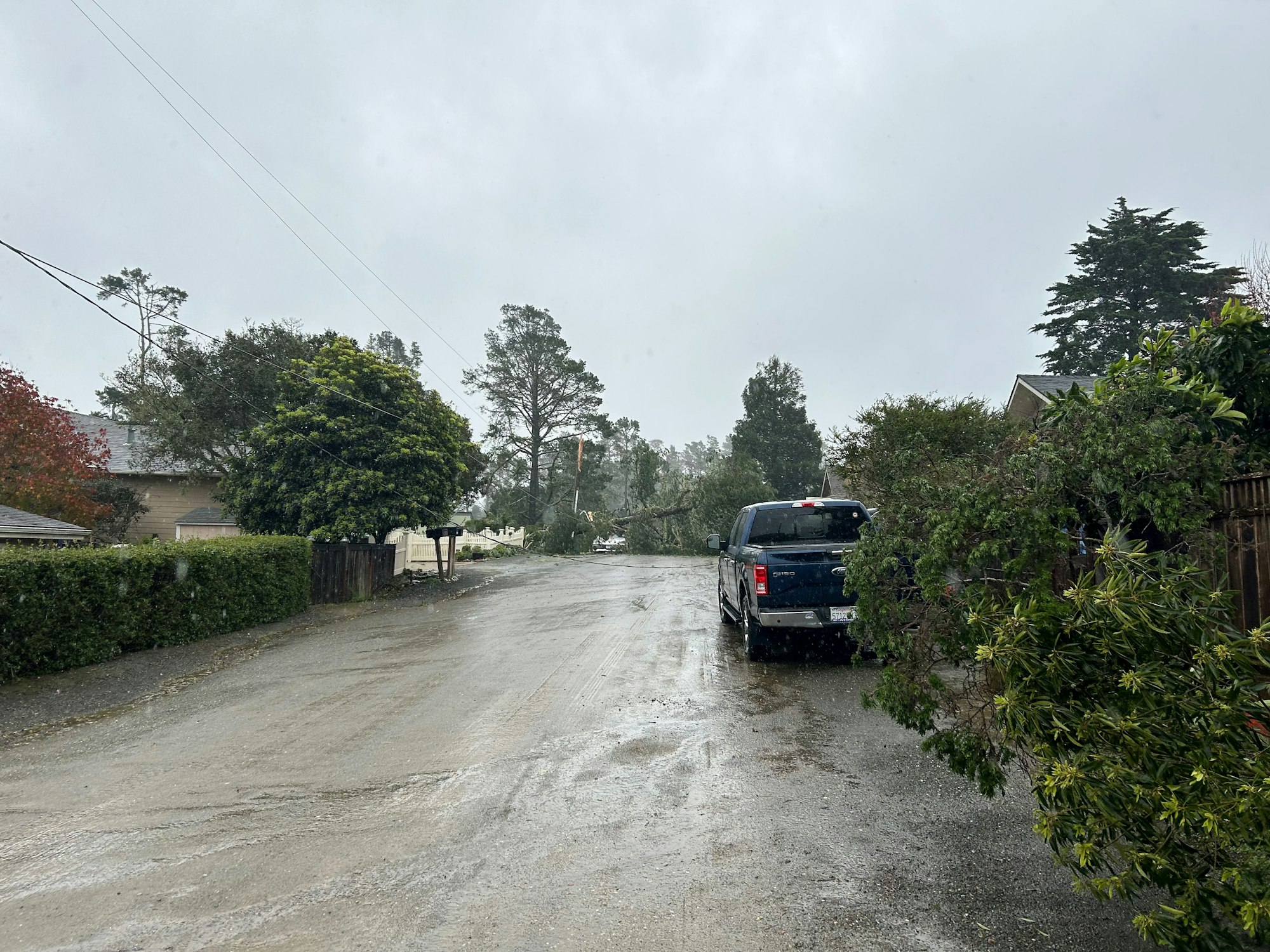 A rainy street with lush greenery and a parked truck.