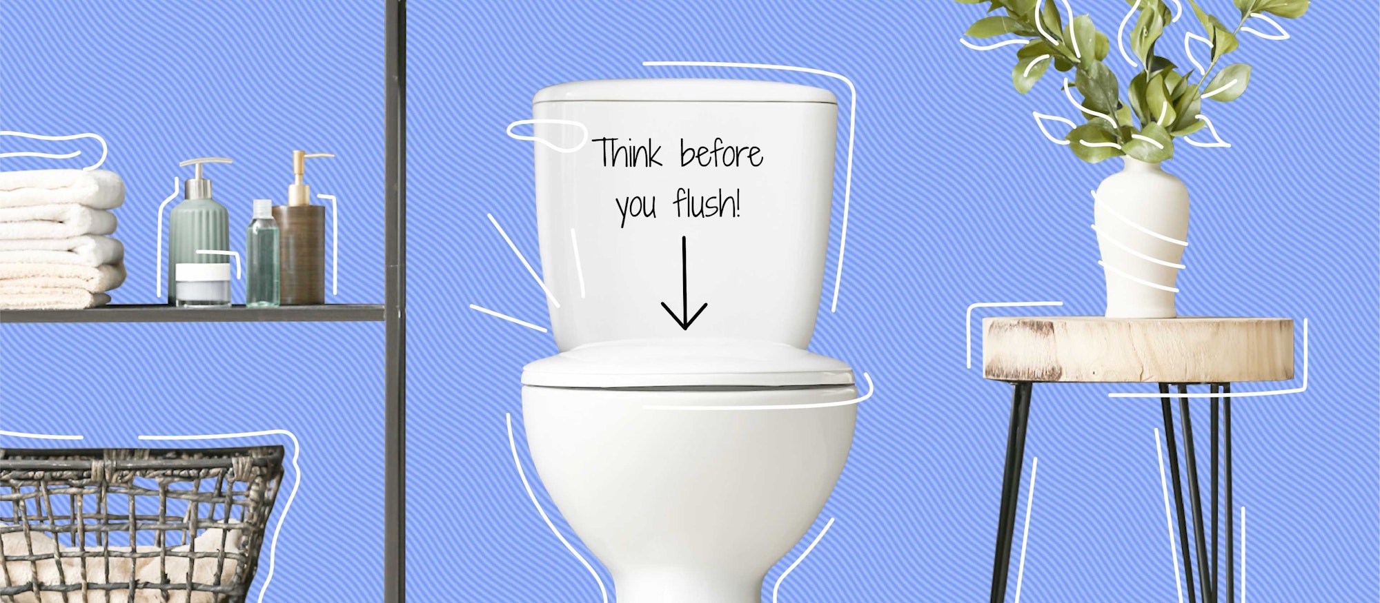 Image of toilet with "Think Before You Flush" text