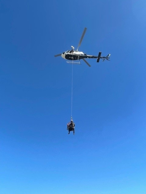 May contain: helicopter, transportation, vehicle, aircraft, flying, animal, and bird