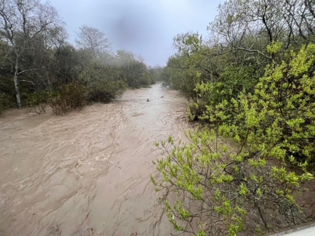 May contain: water and flood
