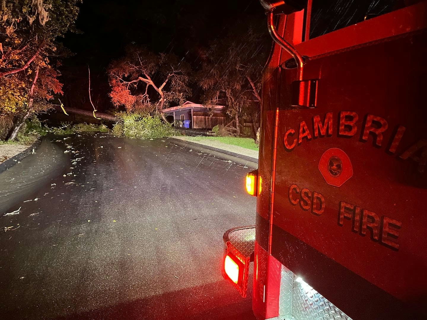 fire truck, road, tree