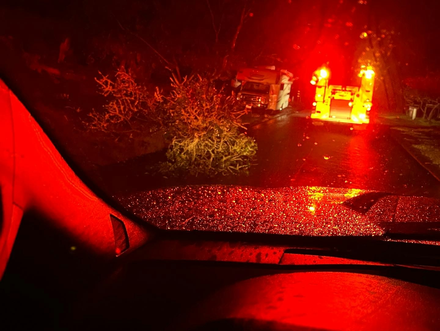 storm, road, tree, fire truck