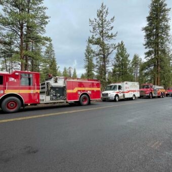 A line of red fire vehicles parked on a road in a forested area.