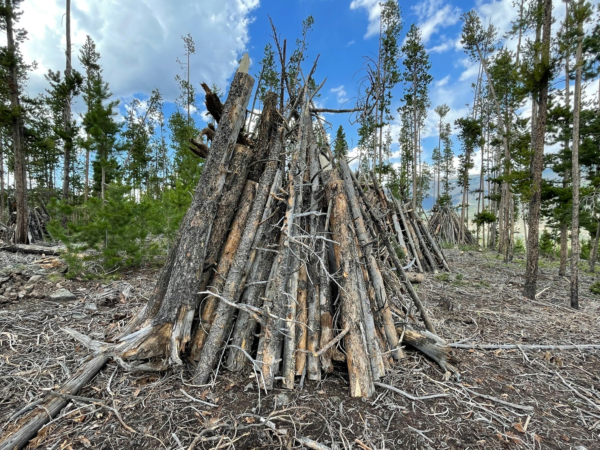 Logs arranged in a teepee-like structure in a forest with tall trees and cloudy sky.