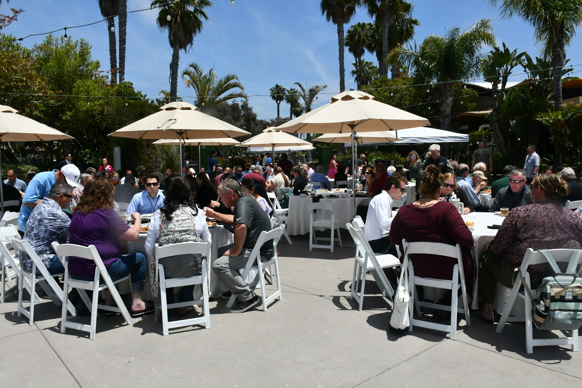 A large outdoor gathering with people sitting at round tables, under umbrellas, surrounded by palm trees.