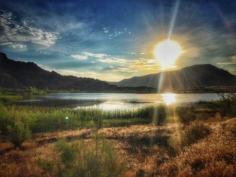 Sunset over a tranquil lake with mountains in the background and shrubs in the foreground.