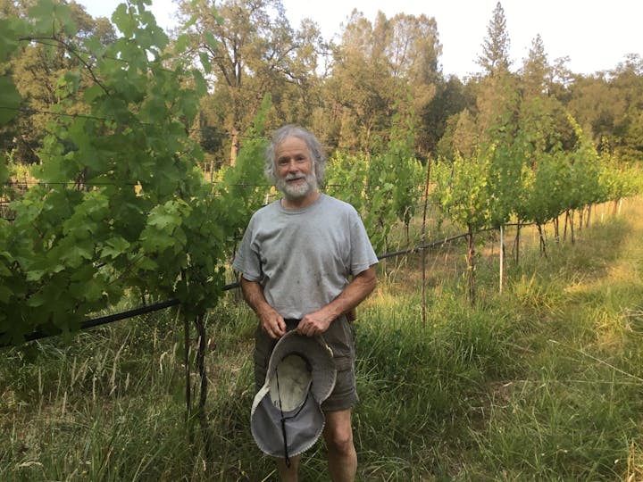A smiling man with a hat stands among grapevines in a vineyard.