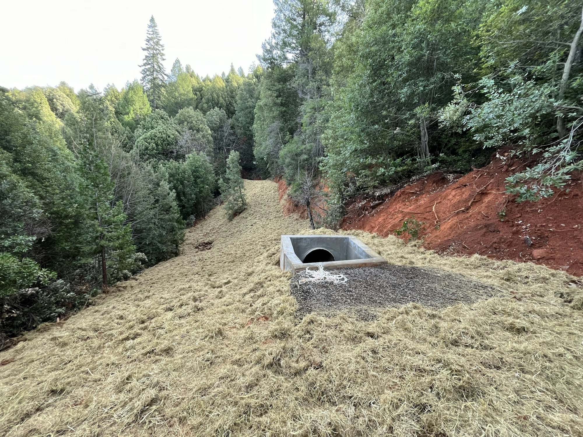 A drainage culvert amidst a straw-covered slope and trees.