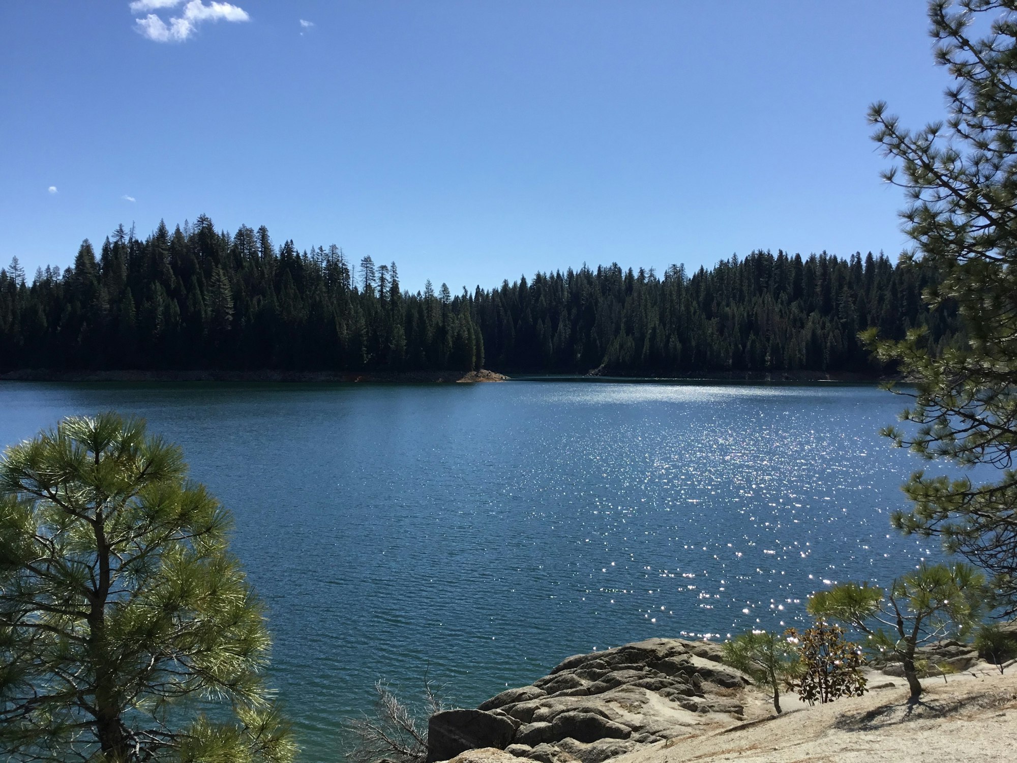 A tranquil lake with sparkling water, surrounded by a forest and a rocky shore under a clear blue sky.