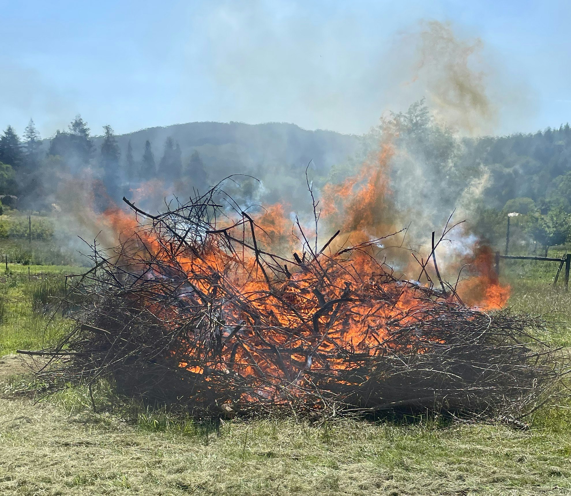 A pile of branches on fire in a grassy field, with smoke rising against a backdrop of trees and hills.