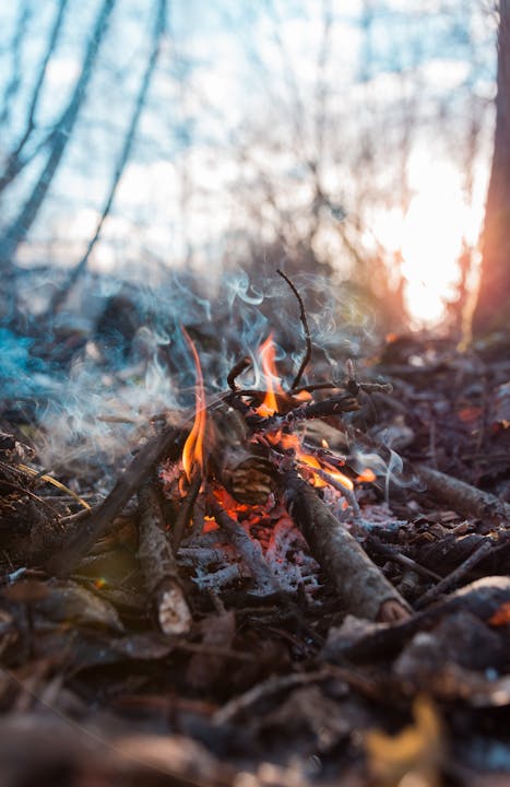 A small campfire with twigs, smoke, and embers, set against a dusky forest backdrop with sunset light.