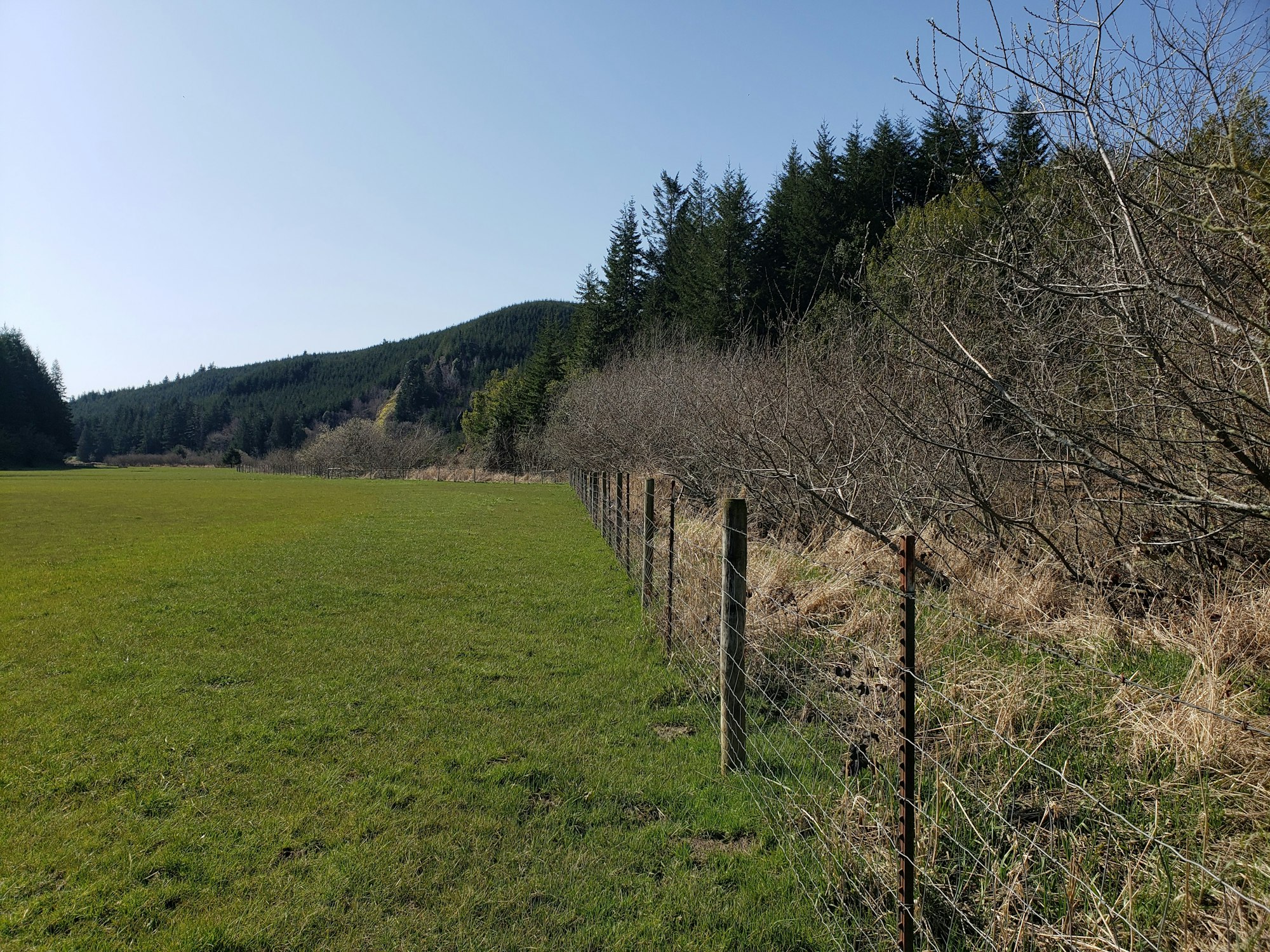 May contain: field, grassland, nature, outdoors, countryside, meadow, rural, farm, pasture, grass, plant, tree, and ranch