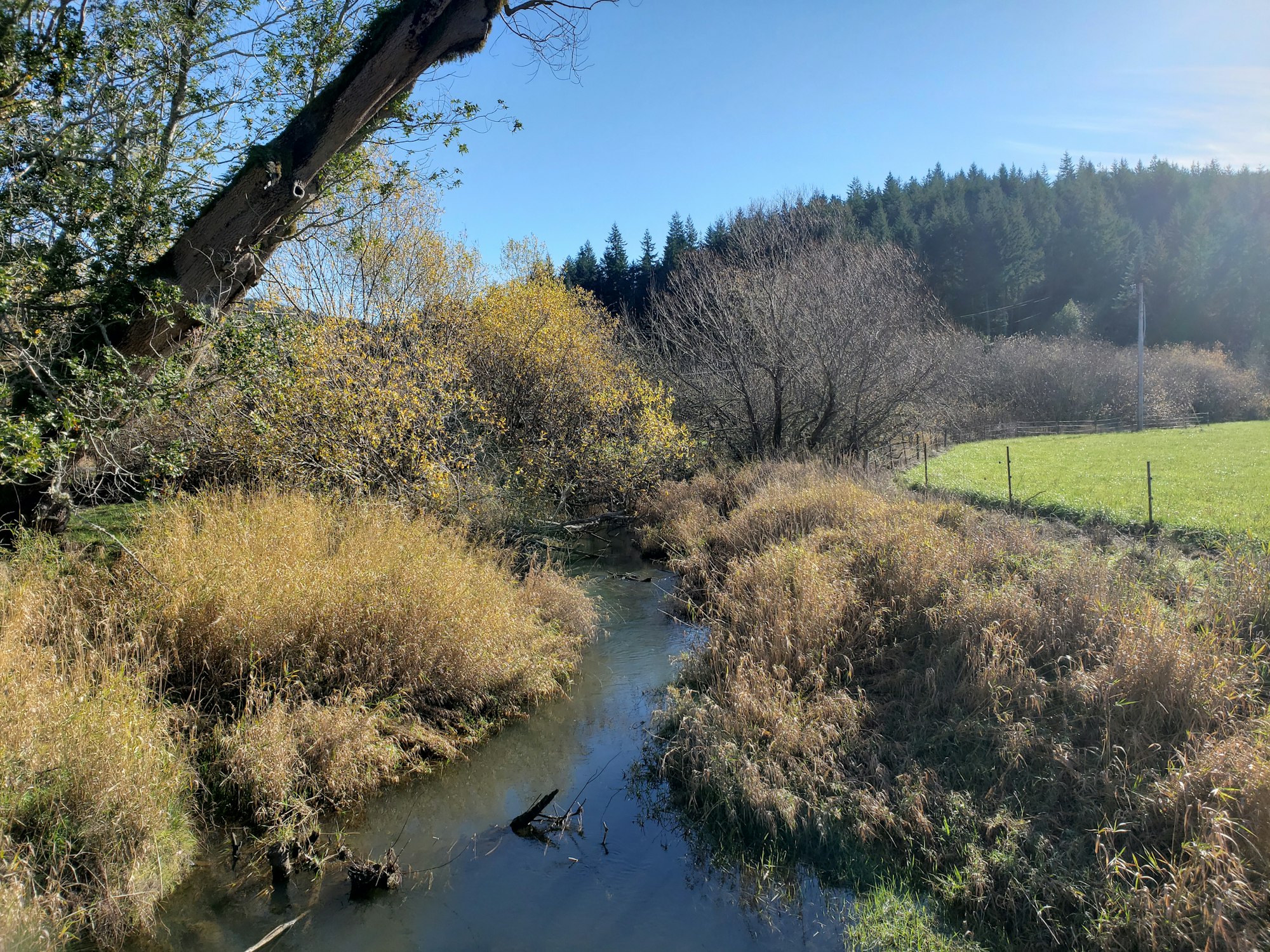 A serene landscape featuring a stream, grassy banks, autumn foliage, and a backdrop of trees under a clear blue sky.