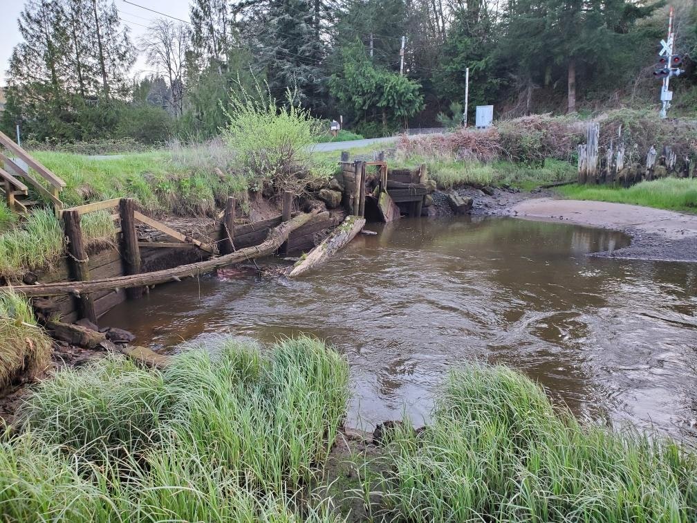 The image shows a waterway with overgrown grass, wooden structures, and a background of trees and a road.