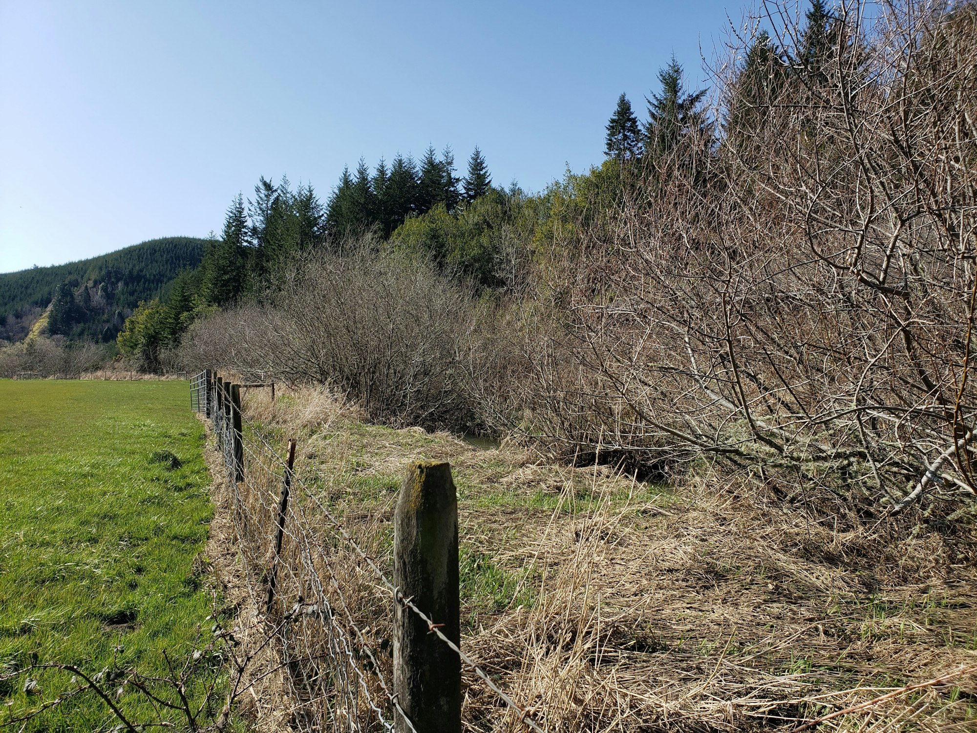 May contain: plant, tree, field, grassland, nature, outdoors, fir, countryside, meadow, rural, farm, and pasture