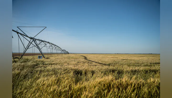 A vast field of crops under a clear sky, featuring a pivot irrigation system on the left side.