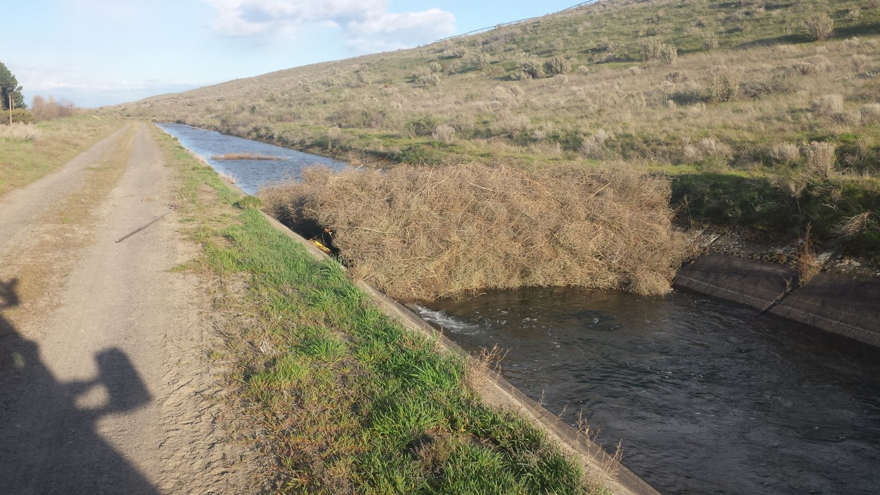 May contain: ditch, outdoors, canal, water, and path