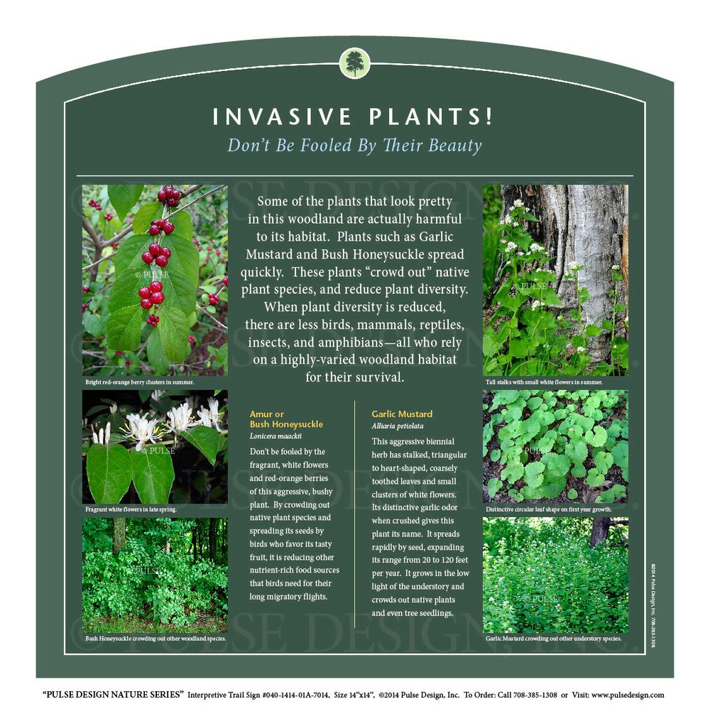 An educational poster about invasive plants, warning not to be deceived by their beauty and explaining their impact on ecosystems.