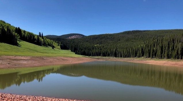 A calm lake with surrounding green hills and dense forests under a clear blue sky.