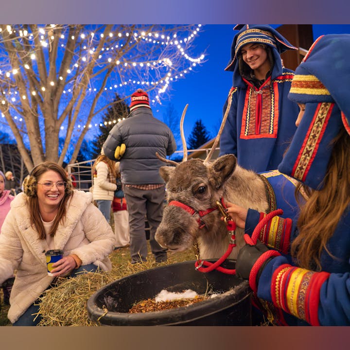 A young reindeer with a red harness is petted by a person in colorful attire. Smiling people, festive lights, and a tree create a joyful, winter scene.