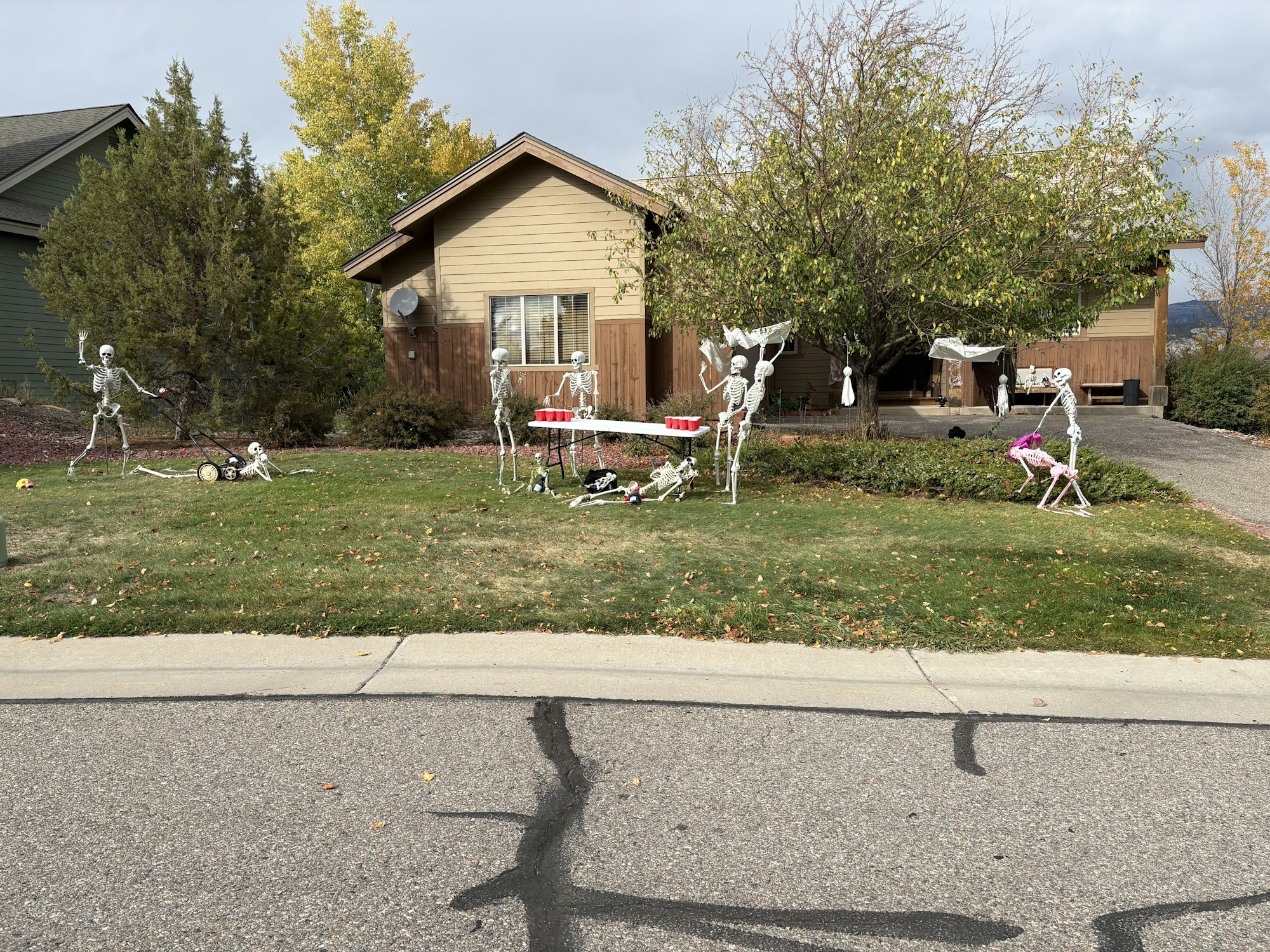 A yard decorated with skeletons in various playful poses, including mowing, dancing, and lounging, celebrating a festive vibe.