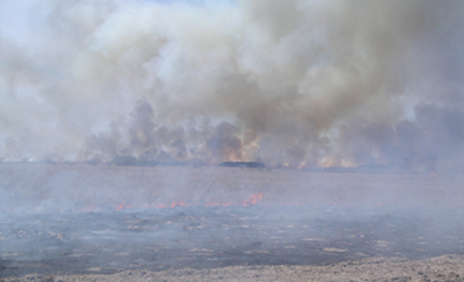 Field on fire with smoke billowing into the sky.