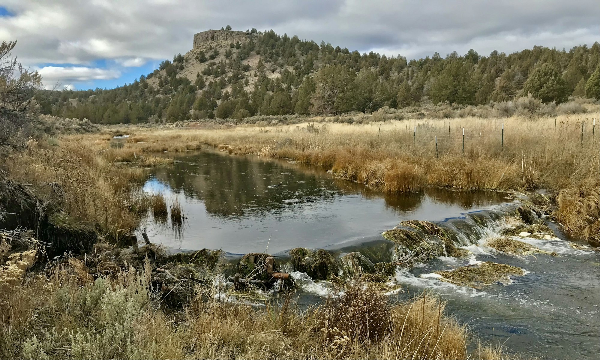 May contain: nature, outdoors, lake, water, wilderness, pond, land, and scenery