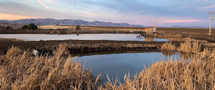 May contain: water, nature, outdoors, grass, plant, and waterfront