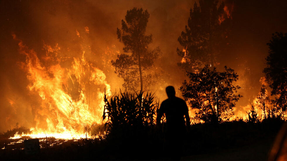 May contain: fire, forest fire, adult, male, man, person, bonfire, and flame