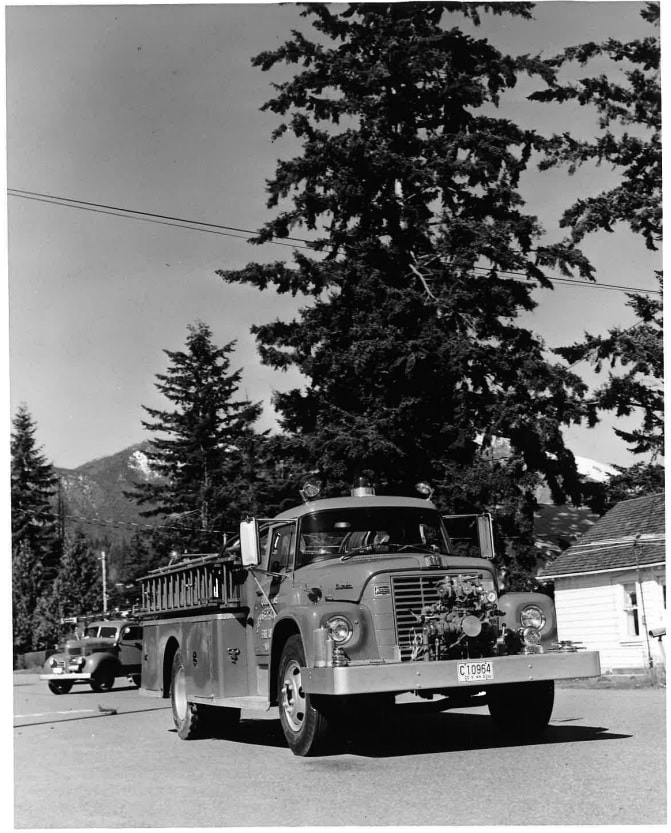 May contain: plant, tree, fir, transportation, truck, vehicle, machine, and wheel