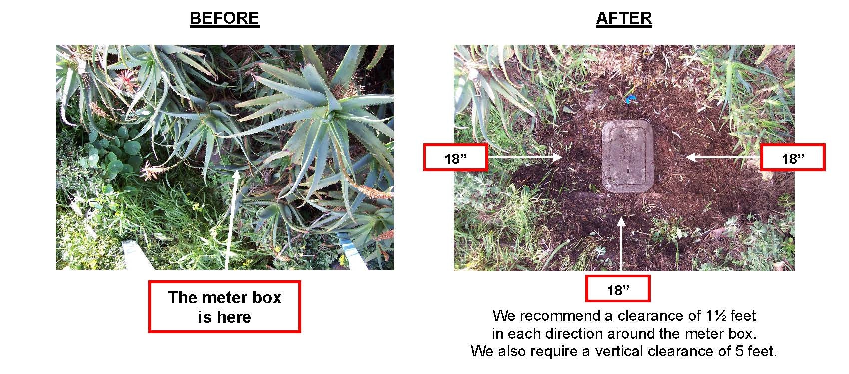 Contains: plant, weeds, covered water meter box, uncovered meter box, Before and After Picture of cleared meter box