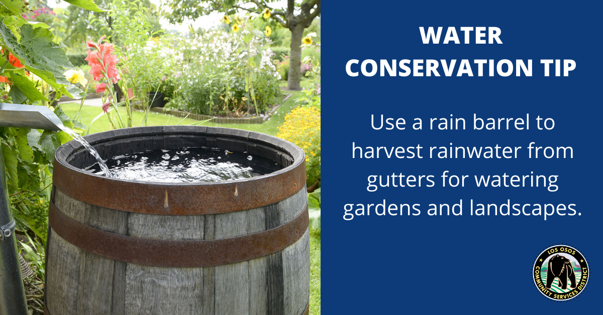 Image shows a rain barrel collecting water as a water conservation tip for watering gardens and landscapes.