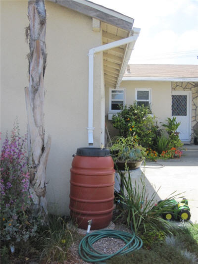 May contain: barrel, rain barrel, and downspout