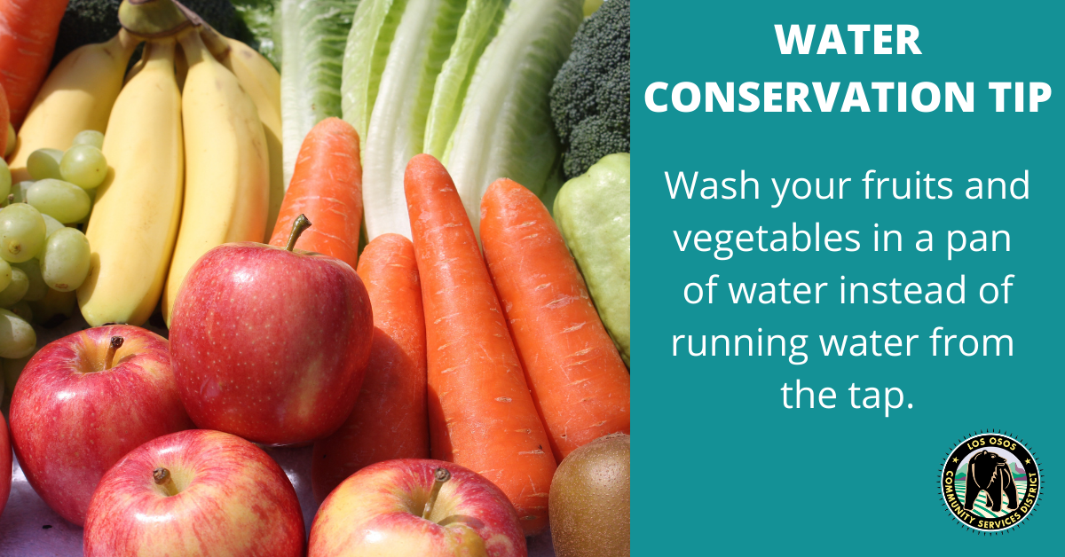 A tip for water conservation: Wash fruits and vegetables in a pan instead of using running water from the tap.