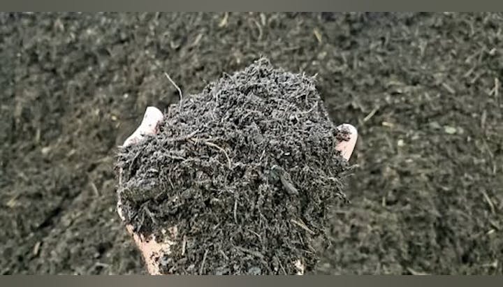 A hand holding dark, rich soil or compost, with a background of more soil or compost. Ideal for gardening and plant growth.