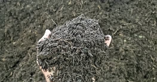 A hand holding dark, rich soil or compost, with a background of more soil or compost. Ideal for gardening and plant growth.