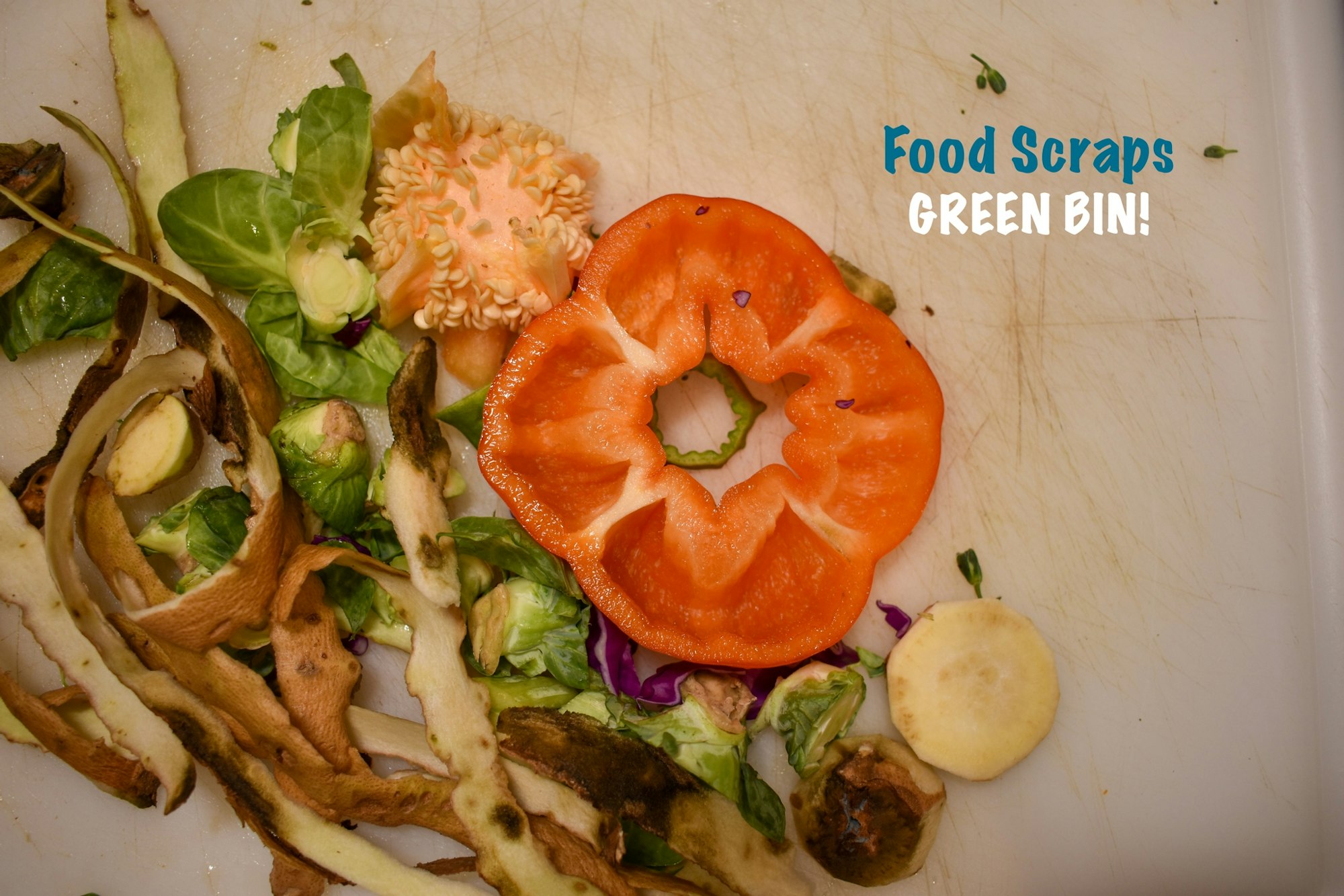Food Scraps