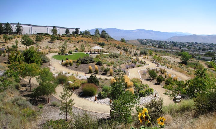 May contain: fir, plant, tree, nature, outdoors, scenery, grass, wilderness, landscape, park, vegetation, road, and gravel
