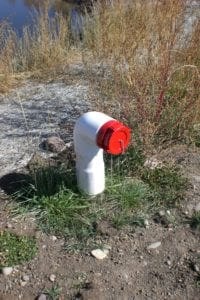 A red and white fire hydrant in a natural setting with grass and shrubs.