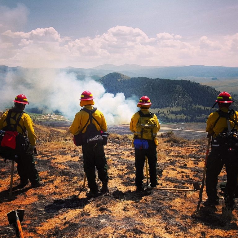 firefighters at a wildfire