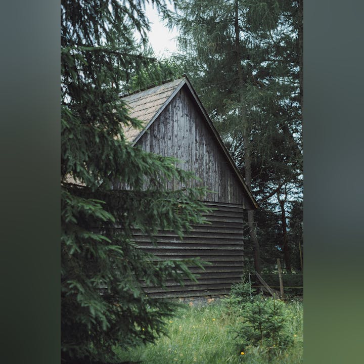 May contain: architecture, building, housing, outdoors, shelter, plant, tree, house, countryside, hut, nature, rural, and cabin